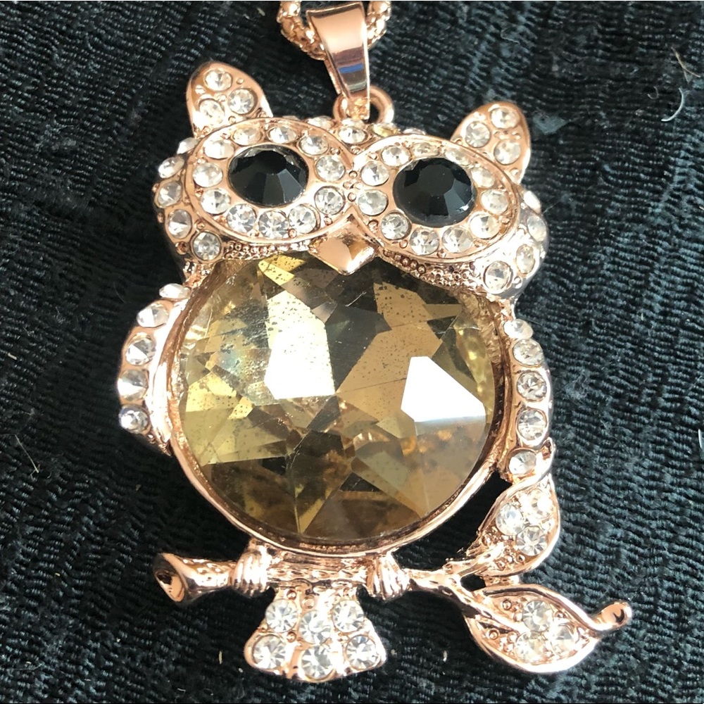 Jeweled Owl pendant (Topaz/Onyx/Rhinestones) & 30” Gold Tone Chain NWT